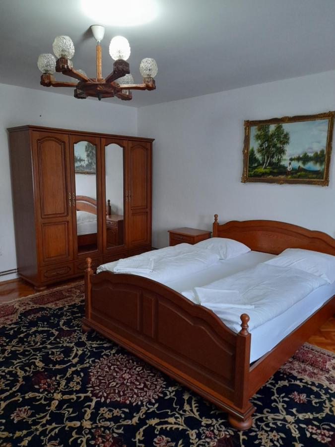Casa Miki Hotel Haţeg Eksteriør billede