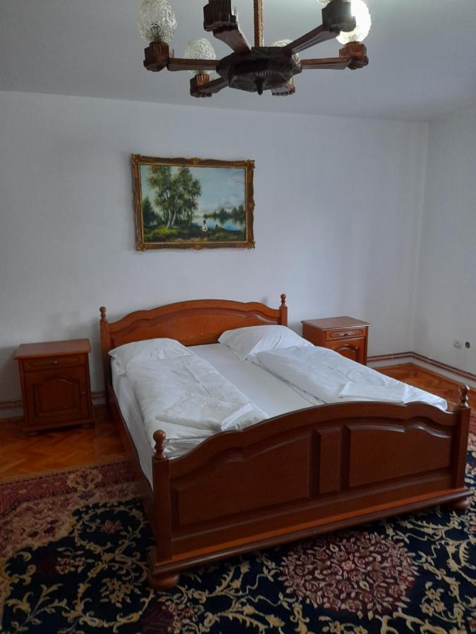 Casa Miki Hotel Haţeg Eksteriør billede
