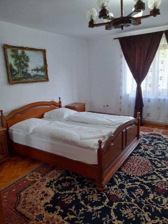 Casa Miki Hotel Haţeg Eksteriør billede