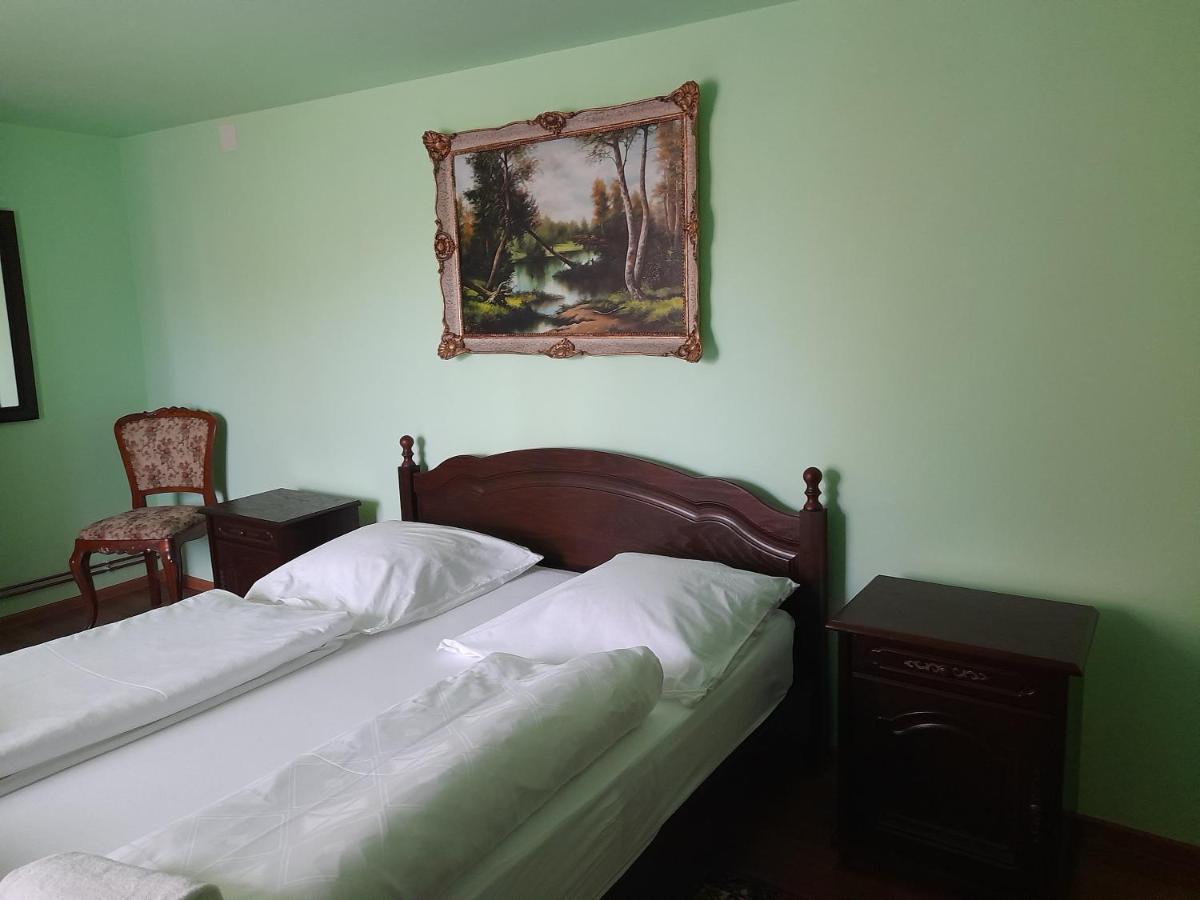 Casa Miki Hotel Haţeg Eksteriør billede