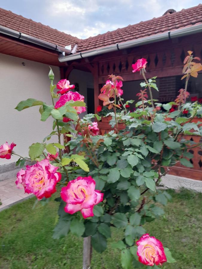 Casa Miki Hotel Haţeg Eksteriør billede