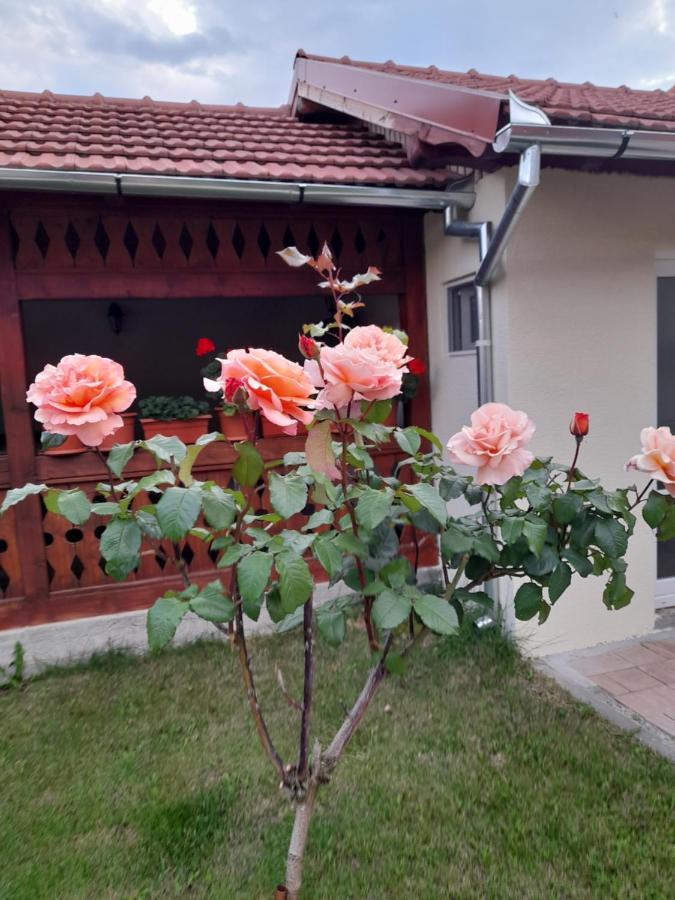 Casa Miki Hotel Haţeg Eksteriør billede