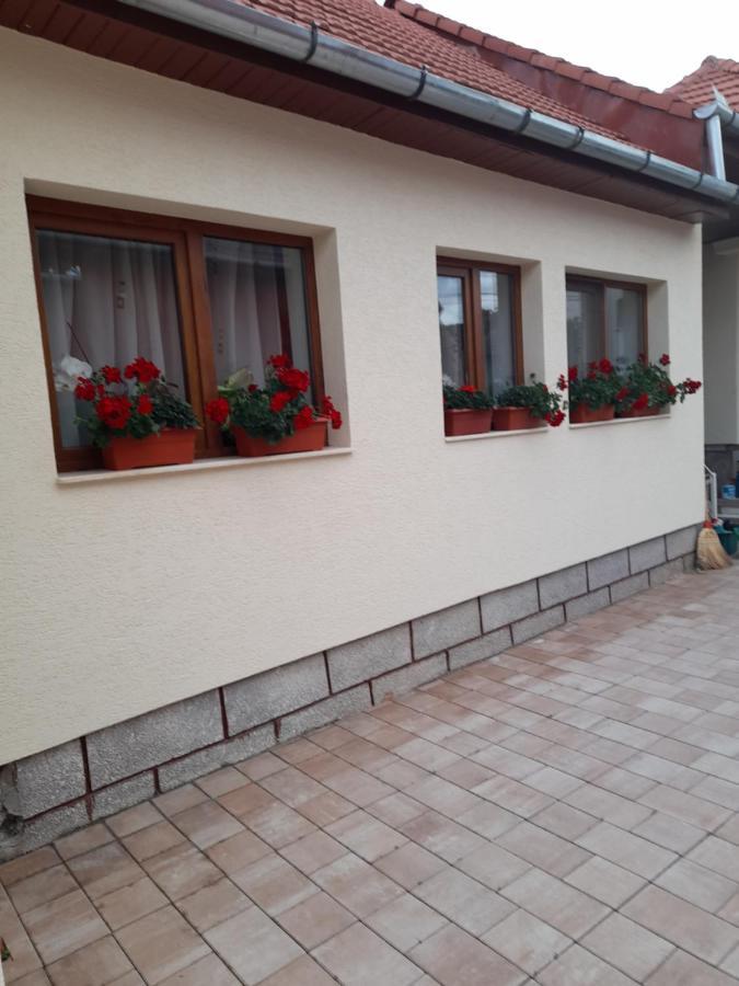 Casa Miki Hotel Haţeg Eksteriør billede