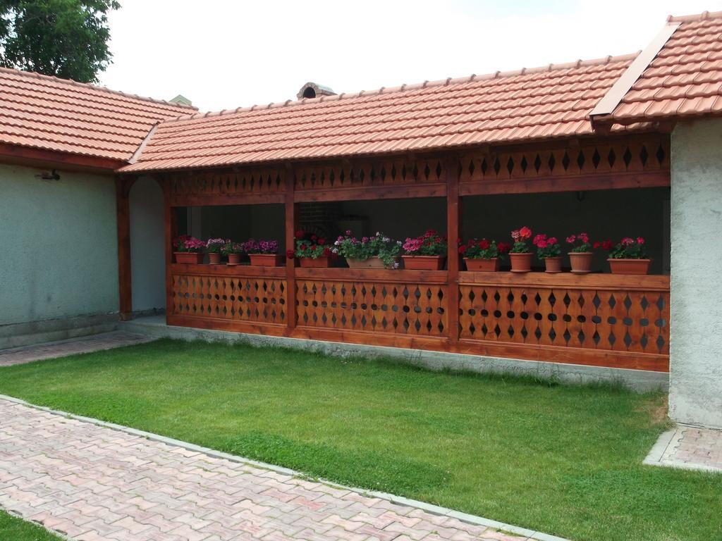 Casa Miki Hotel Haţeg Eksteriør billede